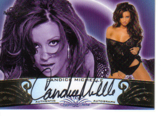 candice michelle and erotic hotel Candice michelle and erotic hotel
